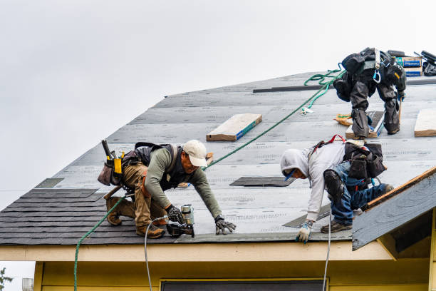 Professional Gutter Installation technician working in Chestnut Mound, TN